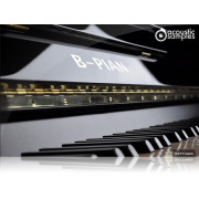 Acousticsamples B-PIAN Bad Upright Piano Library