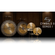 Vienna Symphonic Library Synchron Cymbals & Gongs I Full Library