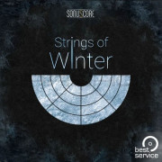 Best Service Strings of Winter