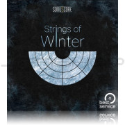 Best Service Strings of Winter