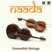 moForte GeoShred Naada Ensemble Strings for Windows