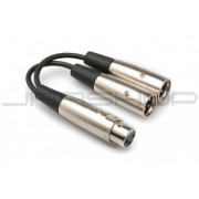 Hosa YXM-121 Y Cable, XLR3F to Dual XLR3M, 6 in