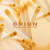 Audiomodern ORION Expansion for Playbeat 4