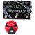 Pigtronix Infinity Looper + Dunlop FFM2 Fuzz Face Mini Germanium Pedal Combo