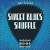 Roland Sweet Blues Shuffle Lifetime Key
