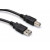 Hosa USB-210AB High Speed USB Cable, Type A to Type B, 10 ft