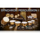 Vienna Symphonic Library Synchron Percussion I Upgrade To Full