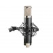 Apex 460 Tube Microphone