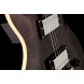 Hamer Guitars The Archtop Transparent Black