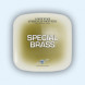 Vienna Symphonic Library Special Brass Extended 