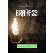 UJAM Instruments Symphonic Elements BRAAASS Crossgrade