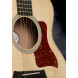 Taylor GS Mini Extra Grain Rosewood Acoustic Guitar - Limited Edition